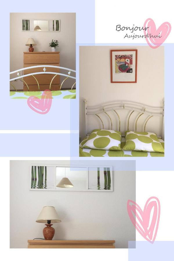Apartament Les Iris Carcassonne Zewnętrze zdjęcie