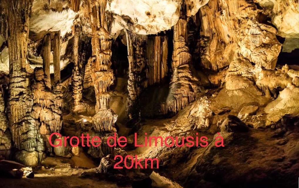 Apartament Les Iris Carcassonne Zewnętrze zdjęcie